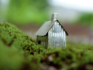 Homescapes